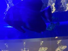 -上和臻品中国菜(花园街店)