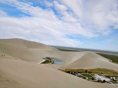 -金塔沙漠胡杨林景区