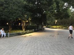 -范蠡湖公园