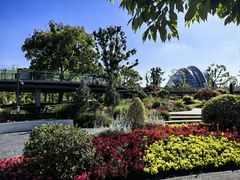 -上海植物园-4号门售票处