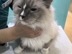 -美迦爱-牙专科·兔科·骨科诊疗中心(北苑店)
