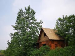 -池杉湖湿地公园