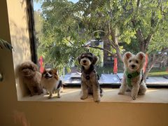 -小意思咖啡店(草桥店)