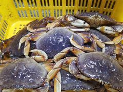 -渔人湾码头海鲜市场负二楼