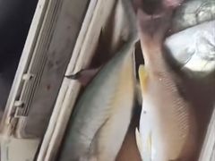 -星海广场