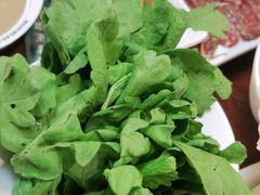 茼蒿-阳坊胜利涮羊肉(阳坊老店)