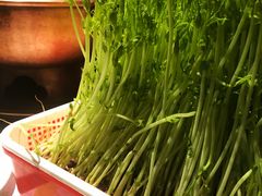 -番食园鲜食火锅(高新店)