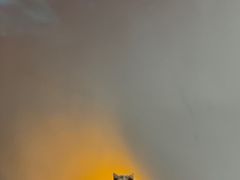 -极木²邸 人与宠物·互动社区