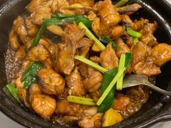 -广宁炭炉鸡煲·富临门饭店