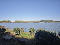 -丁香湖公园