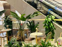 -PAUL LAFAYET 法式甜品(港汇广场店)