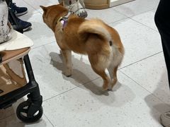 -海马体照相馆(北京大族广场店)