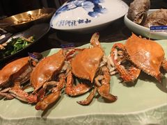 -浩运海鲜·16年专注青岛菜(石老人店)