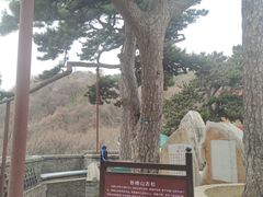 -妙峰山风景名胜区