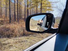 -塞罕坝国家级自然保护区