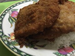 咖喱烩猪扒饭-胜利茶餐室