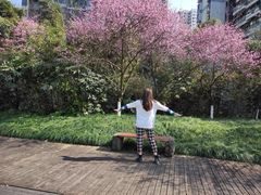 -重庆彩云湖湿地公园