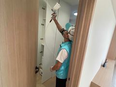 -Liteclear日本进口强效除甲醛检测治理(旗舰店)