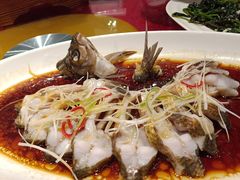 -百鲜楼(藏龙岛店)