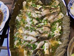 -呼吸森林·生态农庄农家乐私房菜