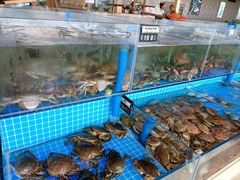 -必点蒸汽海鲜(止锚湾店)