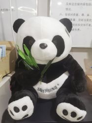 -维秘形体医美 M·VVON医生集团
