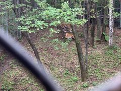 -哈尔滨北方森林动物园