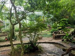 -桂林古东瀑布景区
