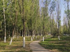 -十渡东湖港风景区