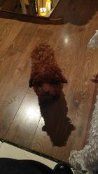 android_upload_pic-构想时尚发型会所