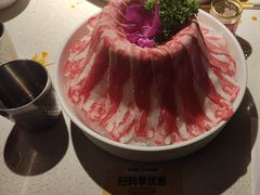 -小龙坎火锅(全球旗舰店)