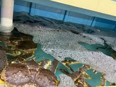 -华威西营里农产品批发市场