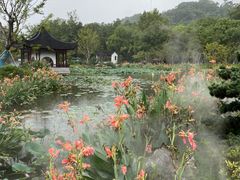 -亭林园-华藏寺