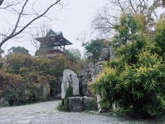 -武汉园博园(武汉自然博物馆)