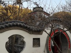 -老张烤羊(王哥庄店)