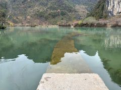 -靖西鹅泉风景区