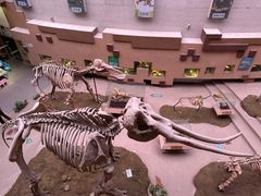 -陕西自然博物馆