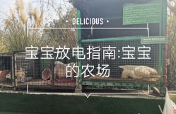 -可可天空农场(中大店)