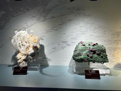 -甘肃地质博物馆