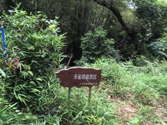 -天鹿湖森林公园