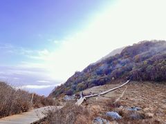 -白草畔自然风景区