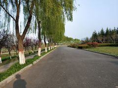 -洨河生态公园