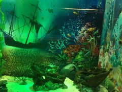 -梦幻海洋王国(吾悦广场张家港店)