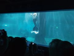 -北戴河圣蓝海洋公园