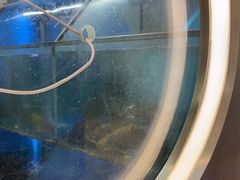 -鱼酷活鱼烤鱼(沈阳大悦城店)