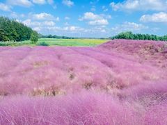 -嘉北郊野公园