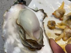 生蚝-乔哥铭洋海鲜自助(皇城恒隆广场店)