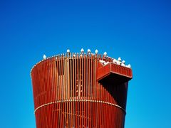 -南宫五洲植物乐园