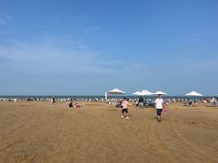 -日照海滨国家森林公园