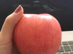 -国家电网上海市电力公司浦东供电公司-停车场